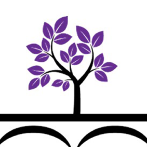 Bridges Of Change Icon