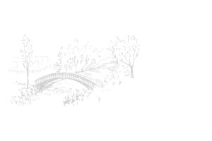 domestic violence shelter-bridge